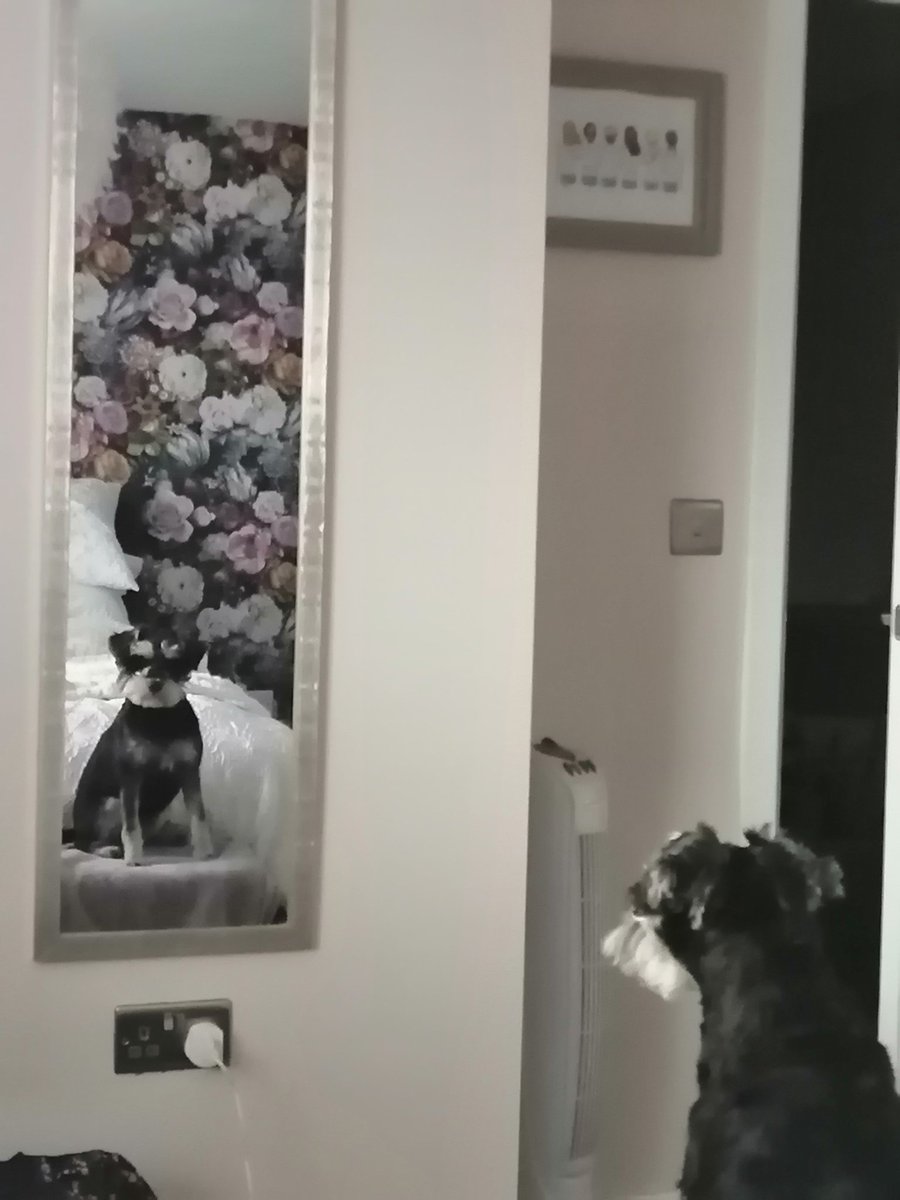 Just checkin i is lookin good for my walk 👀👍