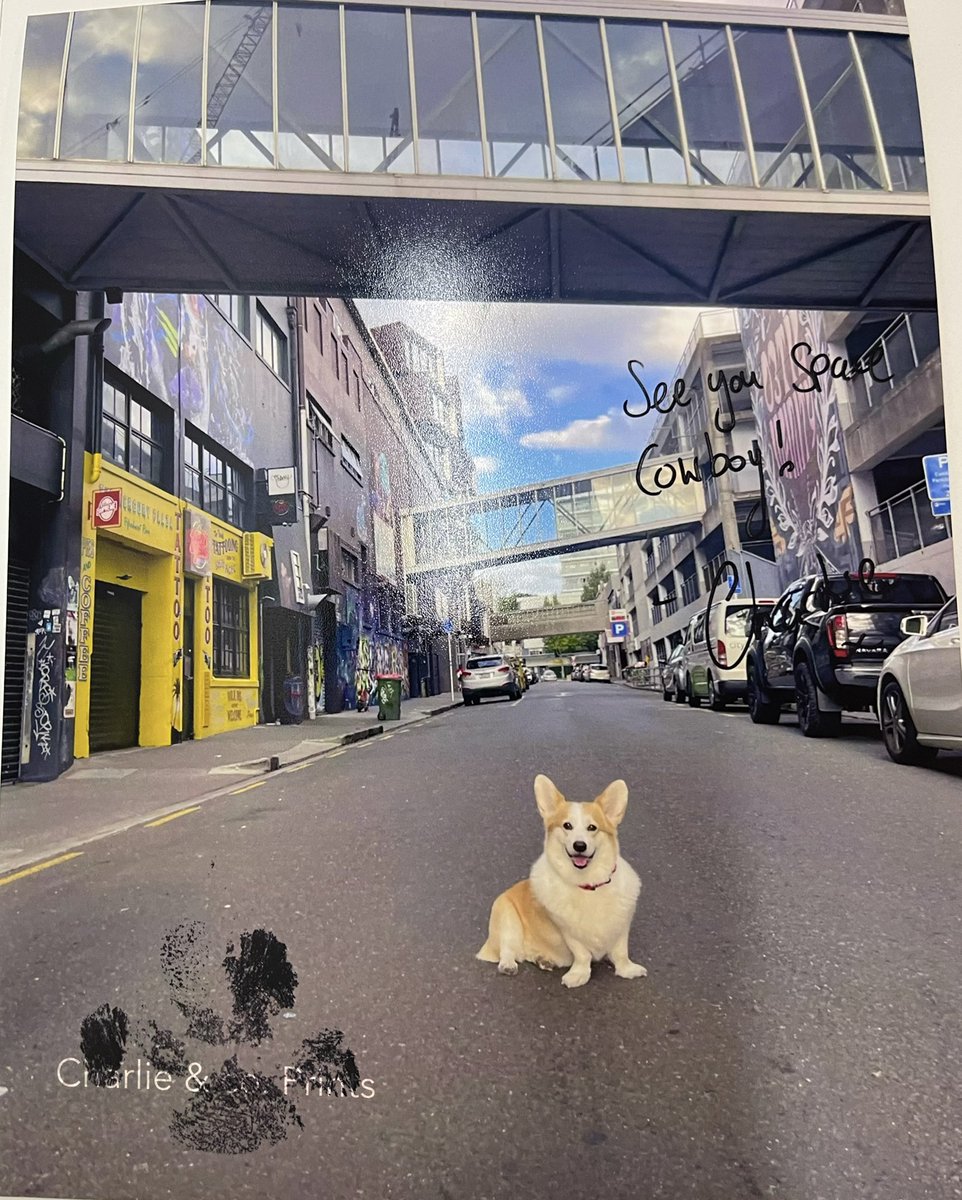 T- 10 hours until we launch the bebop inspired prints! 
We will have the option to include a pawsonalised message as well! 
Releasing 7am NZT. And still doing a $10 donation from every print sold to Ukrainian charities 🐾🇺🇦
Charlie.kiwi