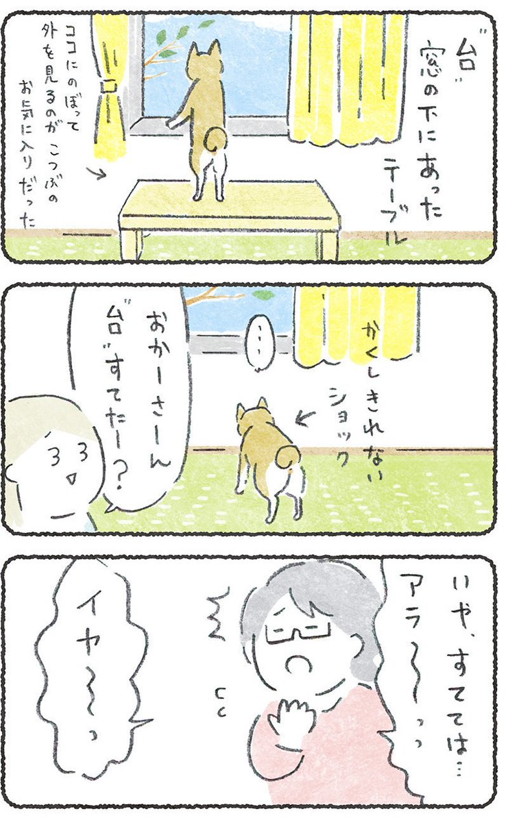 実家でお気に入りだった"台"がなくなってて

ショックを受ける犬と、

母の神対応 (1/2)

#豆しばこつぶ 