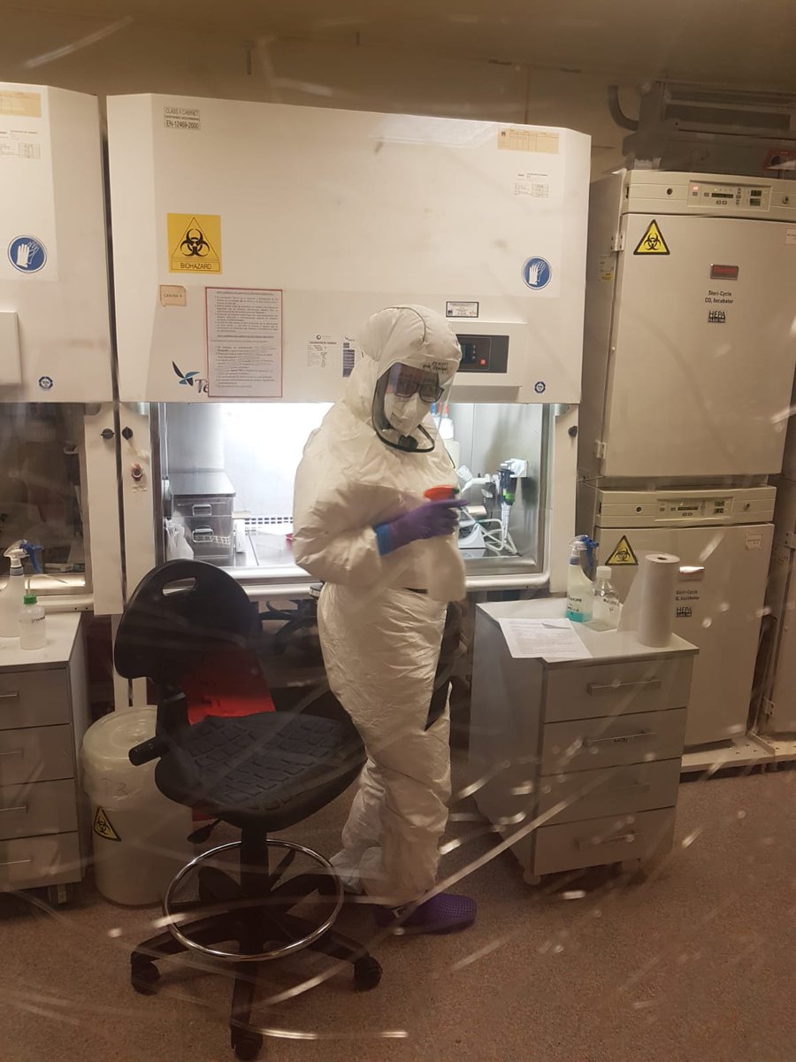 De pequeña soñaba con trabajar con virus. De profesora <a href="/InfoUMA/">Universidad de Málaga</a>  co-coordina <a href="/enc_ciencia/">Encuentros con la Ciencia</a>. Ha sido promotora <a href="/CyT_UMA/">COMO TÚ</a> para que los niños tengan referentes  investigadoras femeninas. Bandera Andalucía 21. Hoy trabaja contra el SARS-CoV2.
Ana GRANDE Pérez #FelizDíaAndalucía