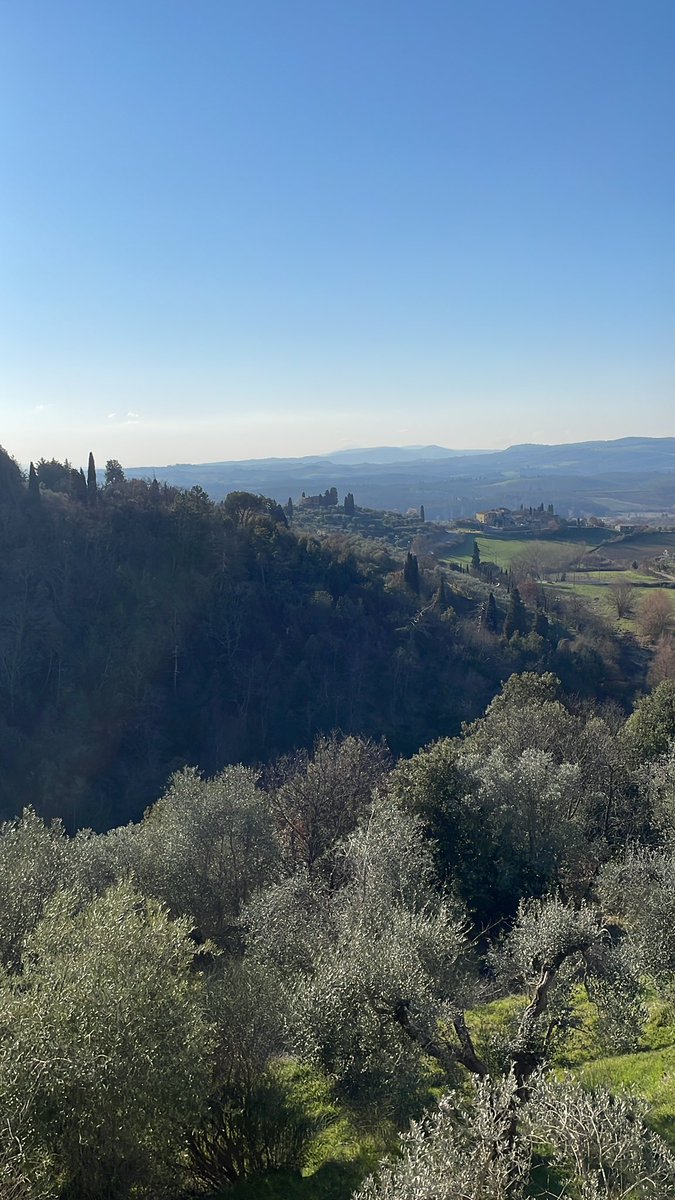 cibarius tweet media