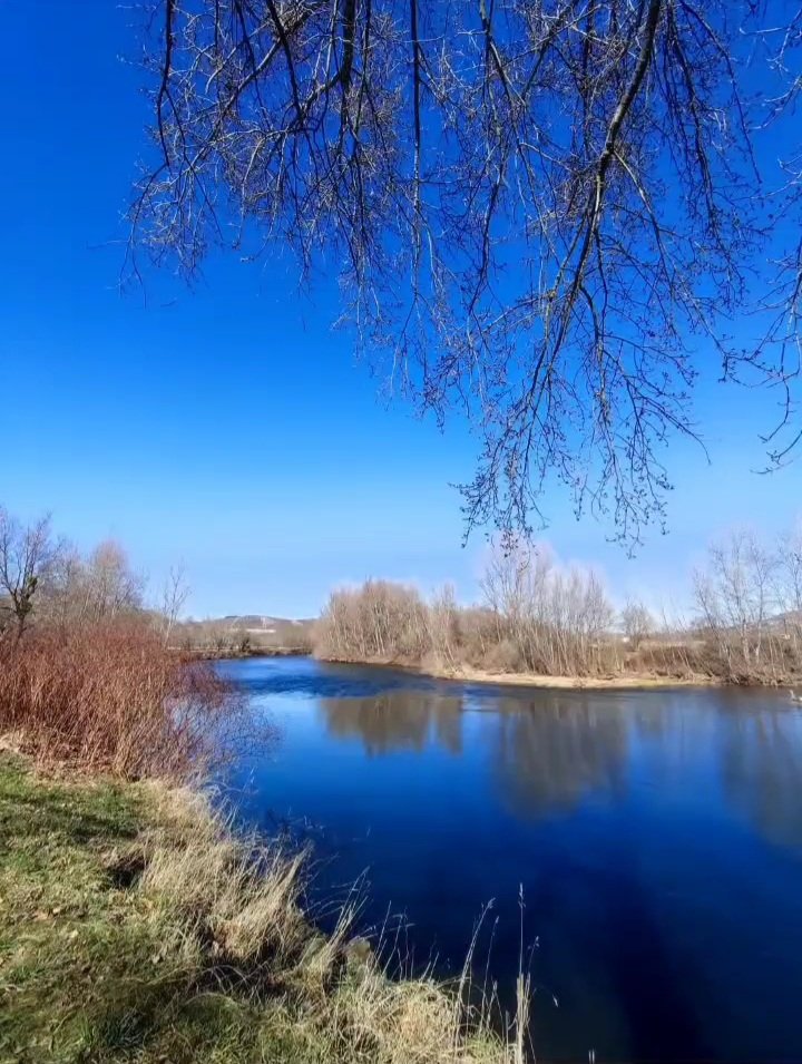 honky_tonk's tweet image. I carry my life forward by entrusting myself to this flow.

わたしは、この流れに委ねて人生を進みます。
#entrust #委ねる #GoingDownstream #川下り
RP @RaufTamerB