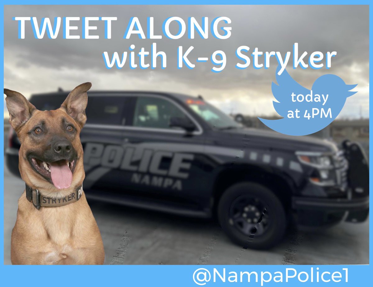 NampaPolice1's tweet photo. Tune in this afternoon around 4PM for our Tweet Along with K-9 Stryker and Officer Jack Ray.
#StrykerTweetAlong #TweetAlongWith394 #NPDVRA #TweetAlong https://t.co/ut53JysPER
