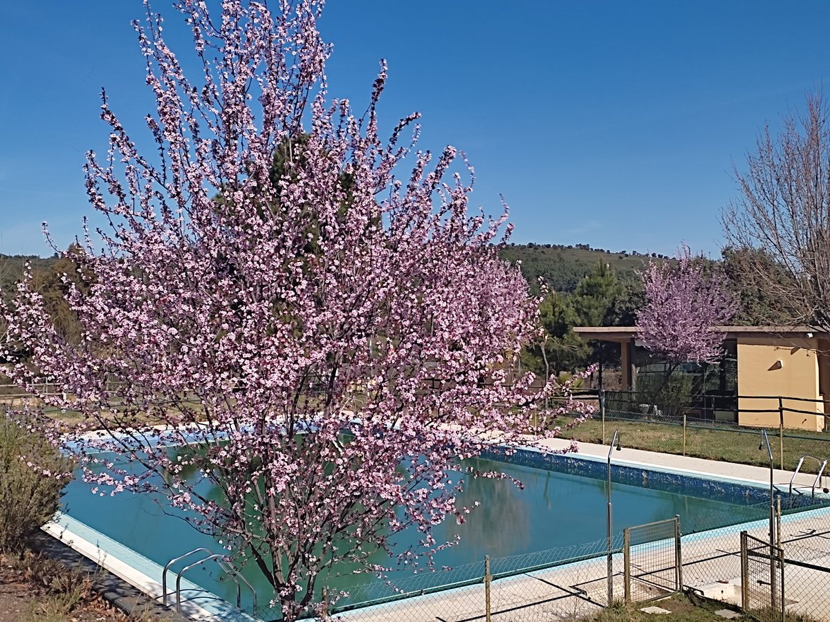 Porqué Extremadura tiene de todo, Camping #AguasClaras en Valencia de Alcántara un paraíso de Paz, Relax y belleza en la Raya, Te vienes con Turnat Reservas 609468375