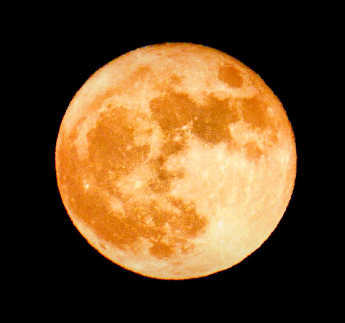 7 Days Of Smiles tweet media