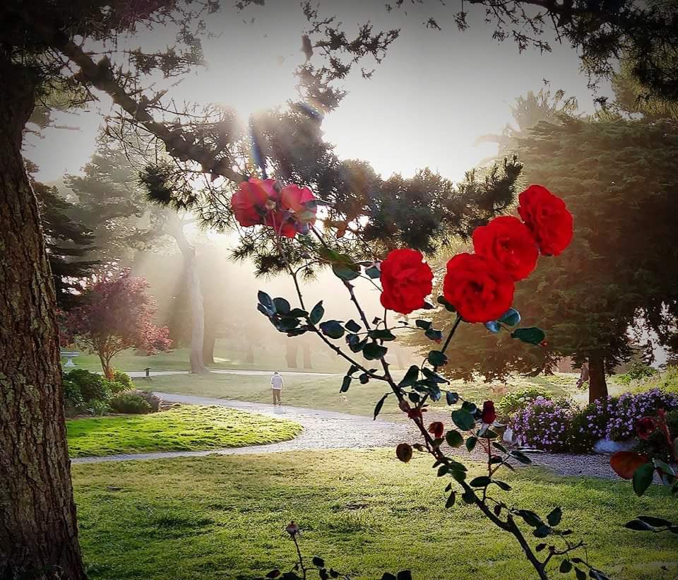 7 Days Of Smiles tweet media