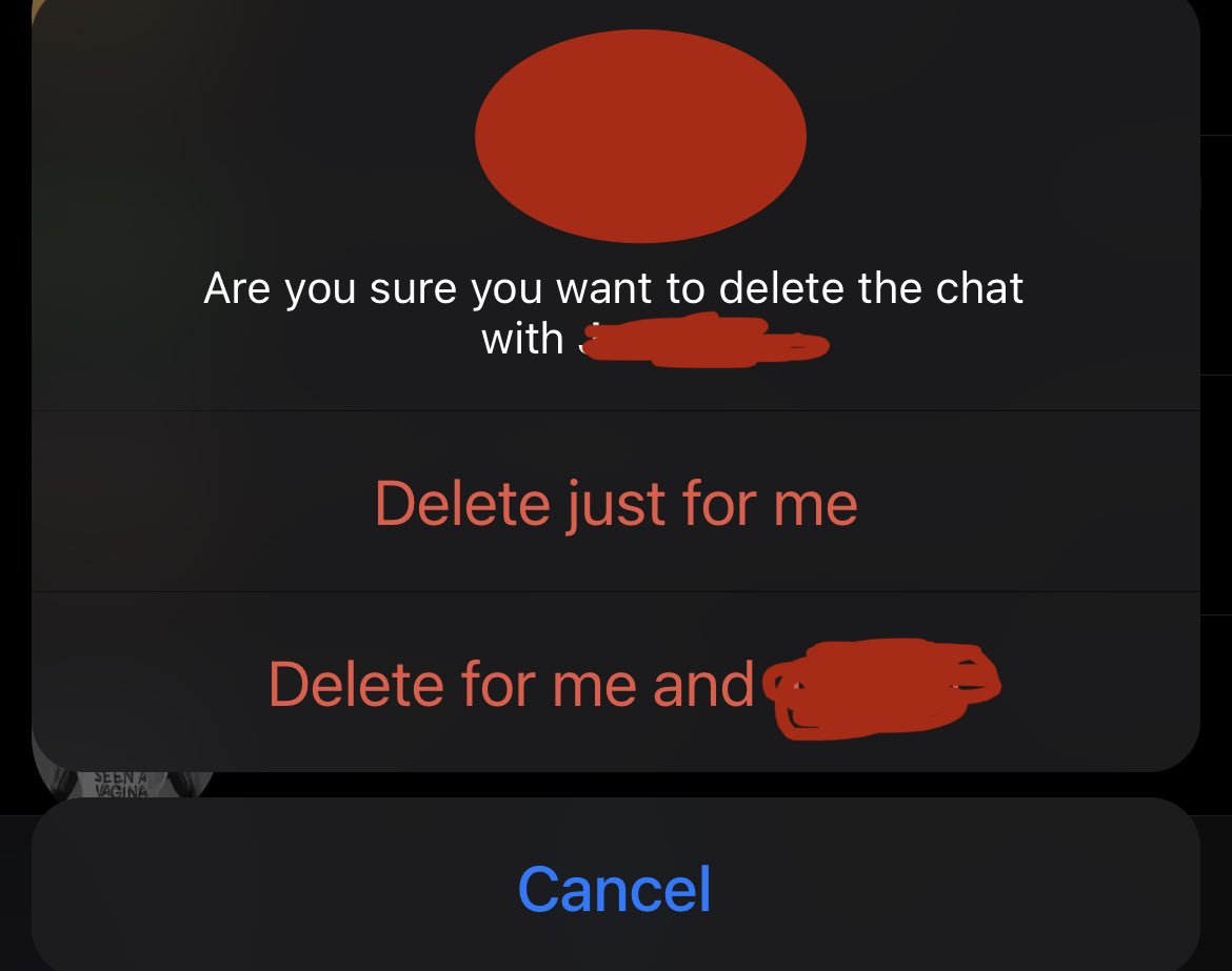 pyaezone's tweet photo. Can @Meta @messenger please implement a feature like this for  #Myanmar users? Military's intelligence are arbitrarily seizing citizens' phones to track down activists and their opponents. Rolling out such a feature would be of great help for us. 

#WhatsHappeningInMyanmar https://t.co/oYQbBs6CoU