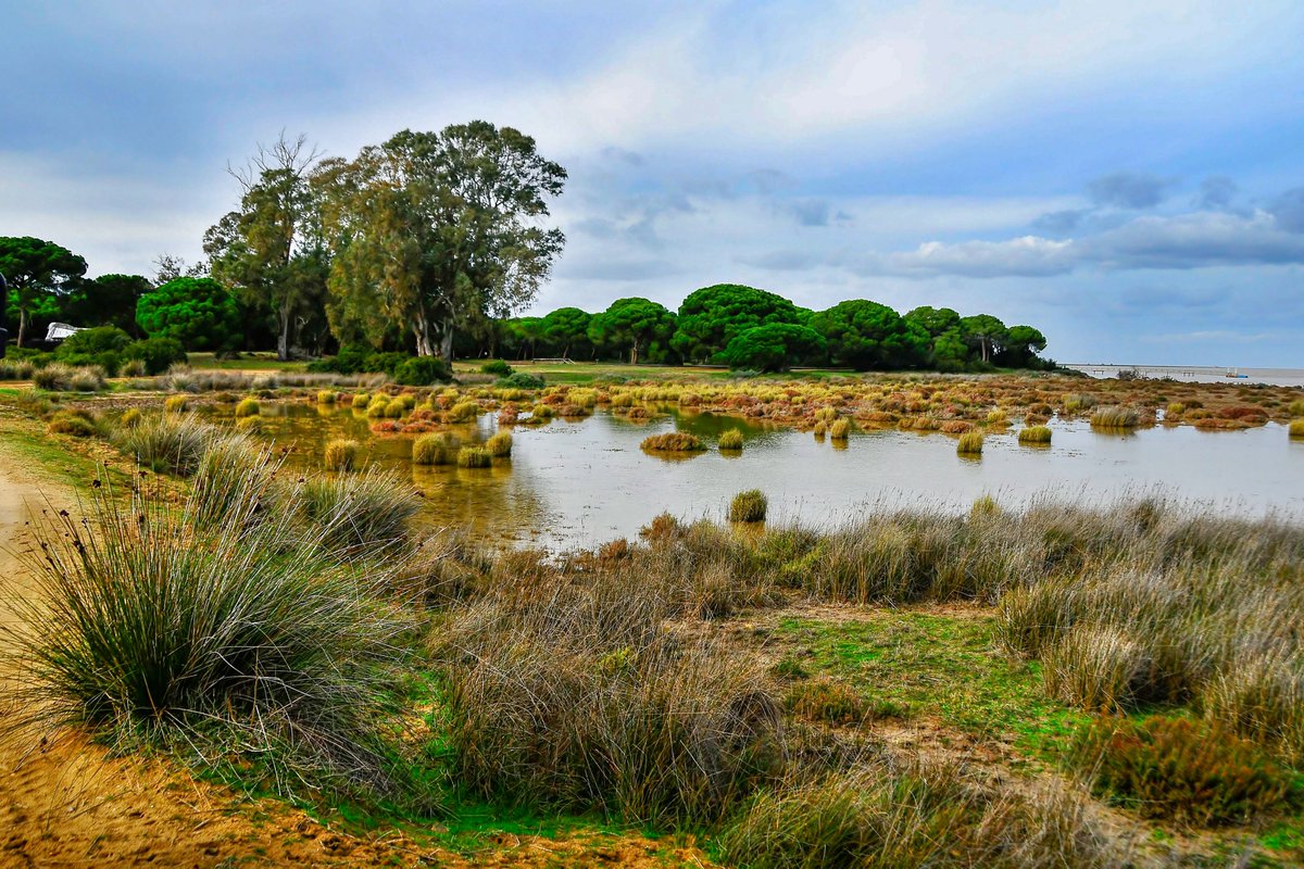ambiafme's tweet photo. Cuando #reciclas tus #RAEE además de evitar la extracción de recursos del #MedioAmbiente, consigues que sigamos disfrutando de entornos como por ejemplo:

🦩 El Parque de Doñana
🏖️ Las playas de Tarifa
🌳 Los verdes campos de Jaén

💚🤍💚 ¡Feliz día #Andalucía! 💚🤍💚 https://t.co/bfEuqabw5b