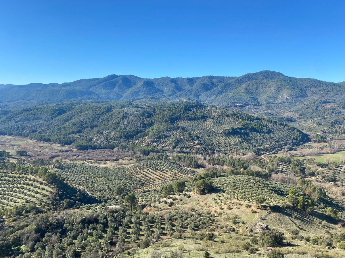 ambiafme's tweet photo. Cuando #reciclas tus #RAEE además de evitar la extracción de recursos del #MedioAmbiente, consigues que sigamos disfrutando de entornos como por ejemplo:

🦩 El Parque de Doñana
🏖️ Las playas de Tarifa
🌳 Los verdes campos de Jaén

💚🤍💚 ¡Feliz día #Andalucía! 💚🤍💚 https://t.co/bfEuqabw5b