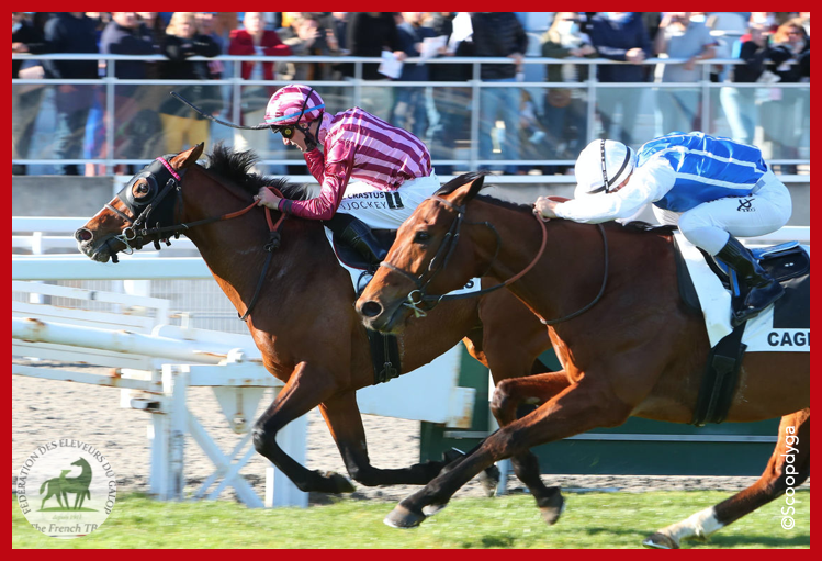 Fedeeleveurs's tweet photo. 🍀 Le fils de #SilverFrost, PALUS ARGENTEUS, s'impose dans le Grand Prix du Département 06 - Défi du Galop 2022, Listed, sur l' @hippocotdazur (26/02).
Félicitations à ses éleveurs dont Monsieur Alain Darroux !! 👏
#vivelelevagefrancais #BreedInFrance #RaceAndCare https://t.co/hDOAz1Ayqi