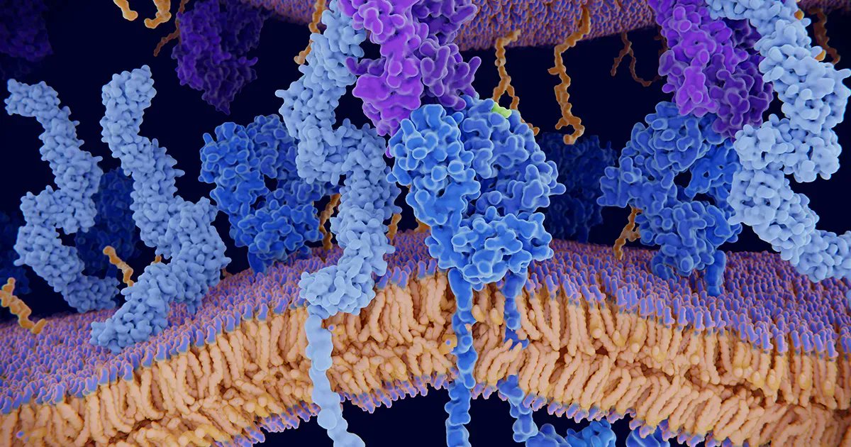 BitesizeBio's tweet photo. Explore how HLA impacts disease susceptibility &amp; how the new immunoSEQ HLA Classifier from @AdaptiveBiotech can infer HLA type to advance your research, in this upcoming webinar. Register now → https://t.co/fStviQM8ZW
For Research Use Only. Not for use in diagnostic procedures. https://t.co/QL6jzECF3D