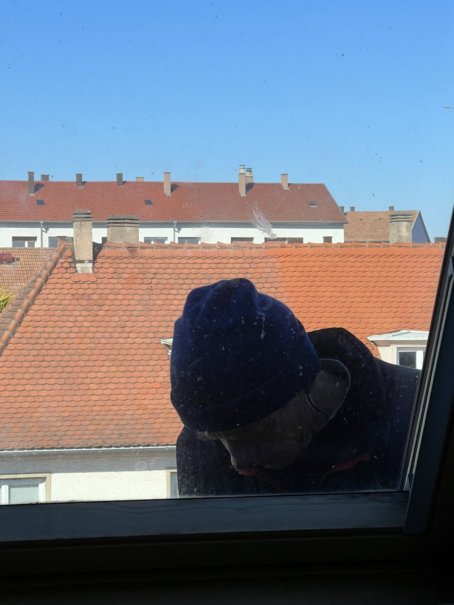 rxstbch's tweet photo. Je m’attendais vraiment pas à ce qu’en ouvrant les yeux ce matin, la première chose que je vois c’est un mec devant ma fenêtre https://t.co/HNlmXITvMr