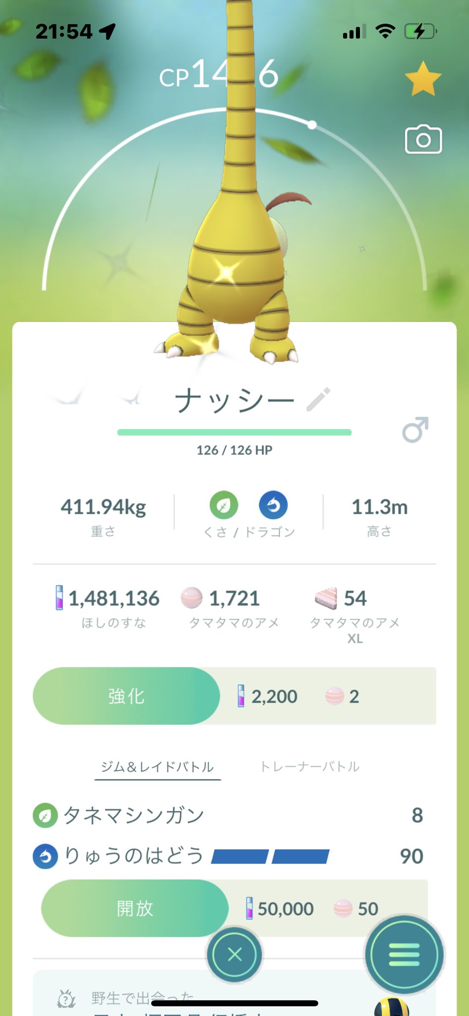 タマタマ Twitter Search Twitter
