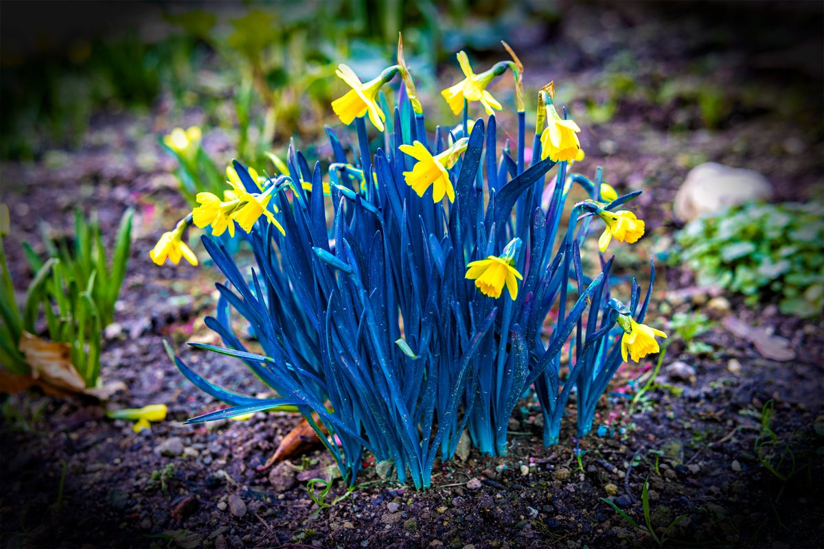 Hallo Welt,
Hallo #Ukraine,

ohne Worte.