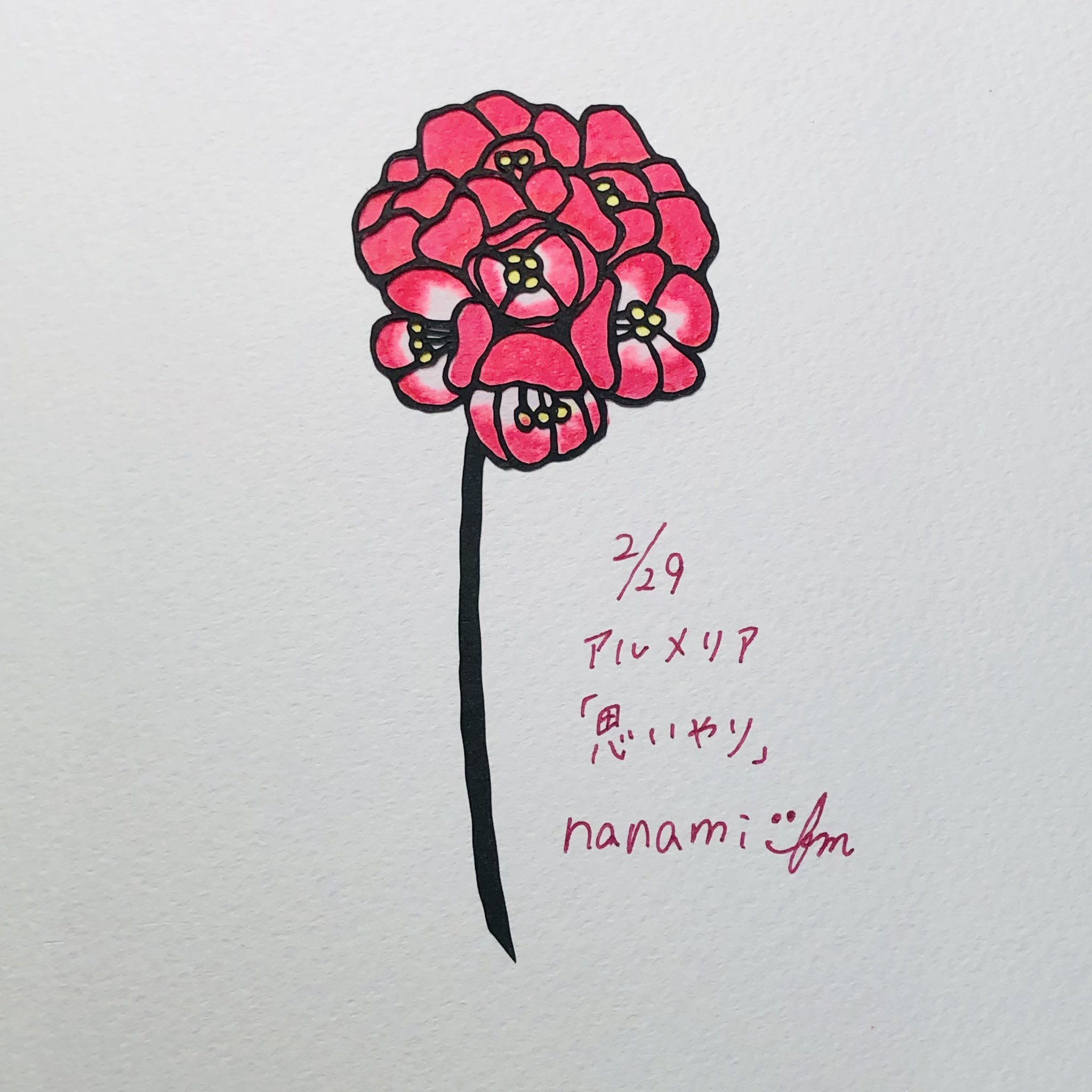 Twitter এ 奈波 切り絵 今日の誕生花 Day3 2 29 アルメリア 花言葉 思いやり 残り46日 誕生花 花言葉 1日1絵 切り絵 切り絵bot作品 T Co Uhzohgiesq ট ইট র