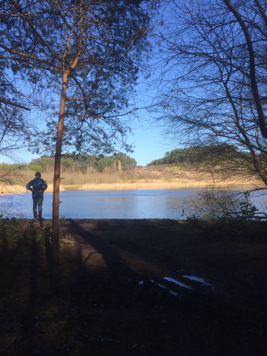 #walk1000miles Enjoying the fresh air on Shoal Hill #cannockchase <a href="/countrywalking/">Country Walking</a>