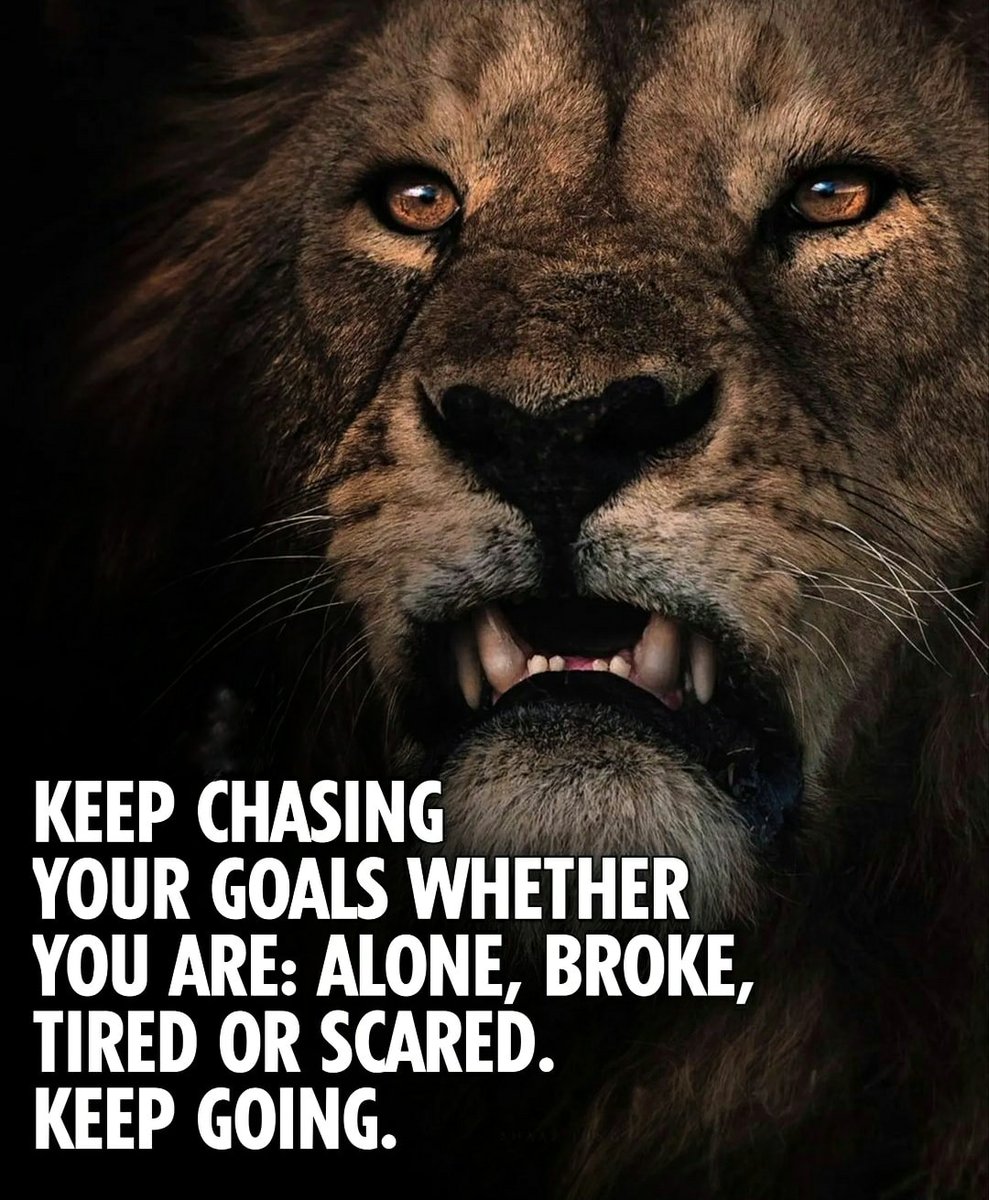 Keep Chasing Your Goals Wether You Are: Alone, Broke, Tired or Scared. Keep Going!

#OptimizingSuccess #BusinessCoaching #CustomerCare #ClientCare #Sales #LiveChatCoaching #BusinessCoaching #BDC #GME #ThanksCoach #SalesTraining #LiveChatTraining
optimizingsuccess.com/sales-training