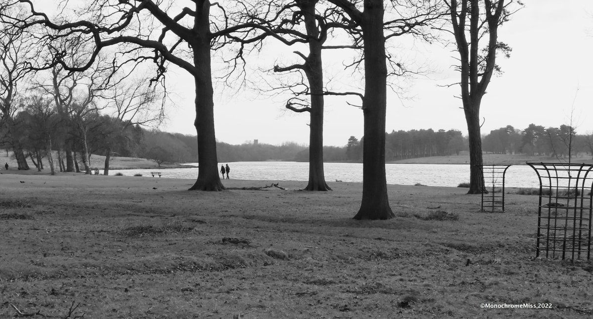 Peaceful Lakeside Walking, 2022. #Monochrome #bnw #blackandwhitephoto #photographylovers #photography #lakes #water #Countryside #parksandgardens #trees