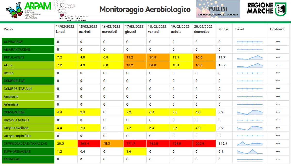ArpaMarche's tweet photo. #Cosafacciamo Ogni settimana pubblichiamo il bollettino #pollini e #spore, con le concentrazioni rilevate nelle nostre 4 #stazioni affiliate alla rete #PollNet. Disponibile anche il commento dell'#allergologo.
➡️➡️ https://t.co/Kmhrsrx0lg https://t.co/xwPIS4xGTa