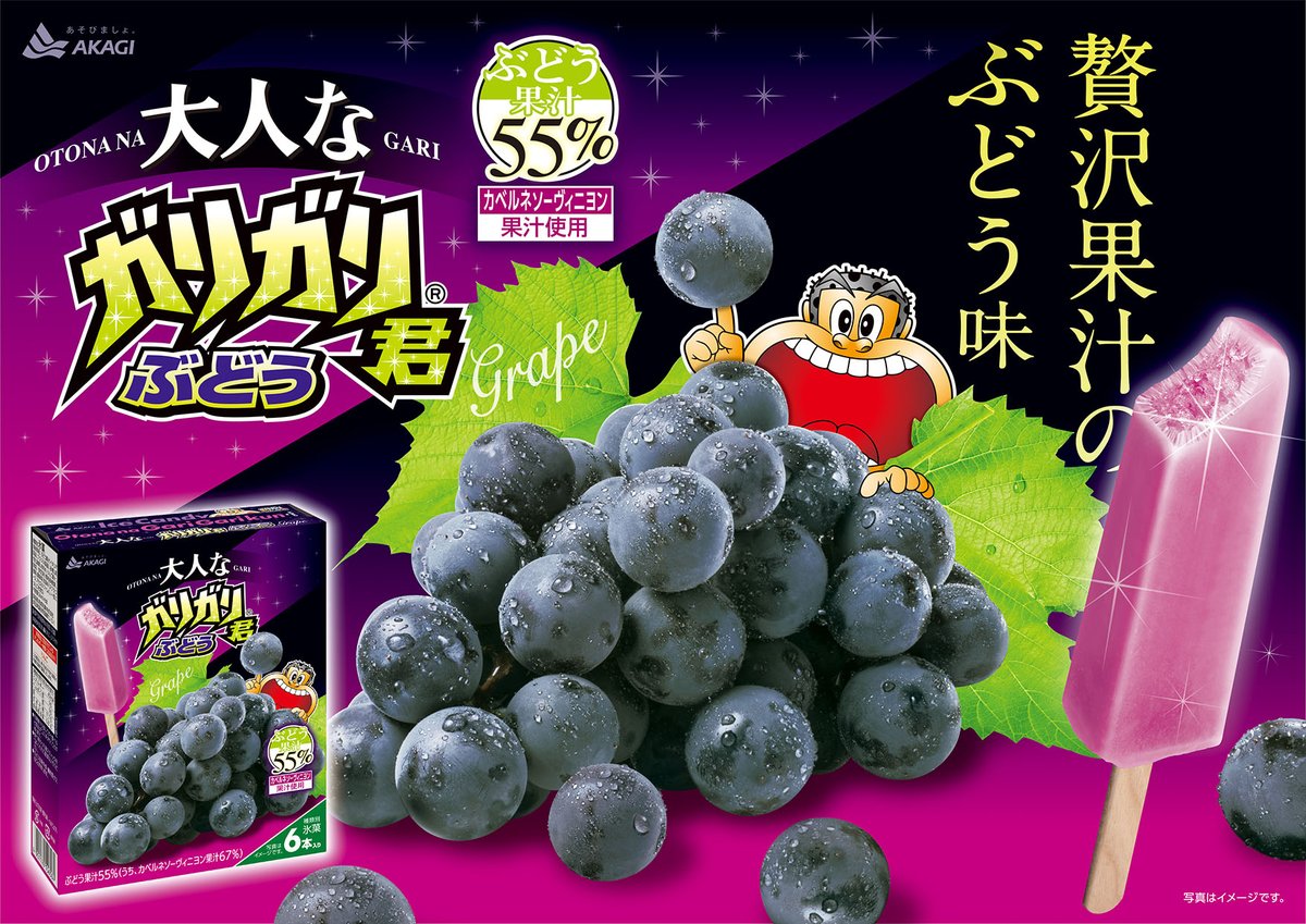 【希少】ブルガリア軍 アルミ 3ピース キャンティーン 新発売🎉】 ファミリーパックの『大人な』シリーズに #大人なガリガリ