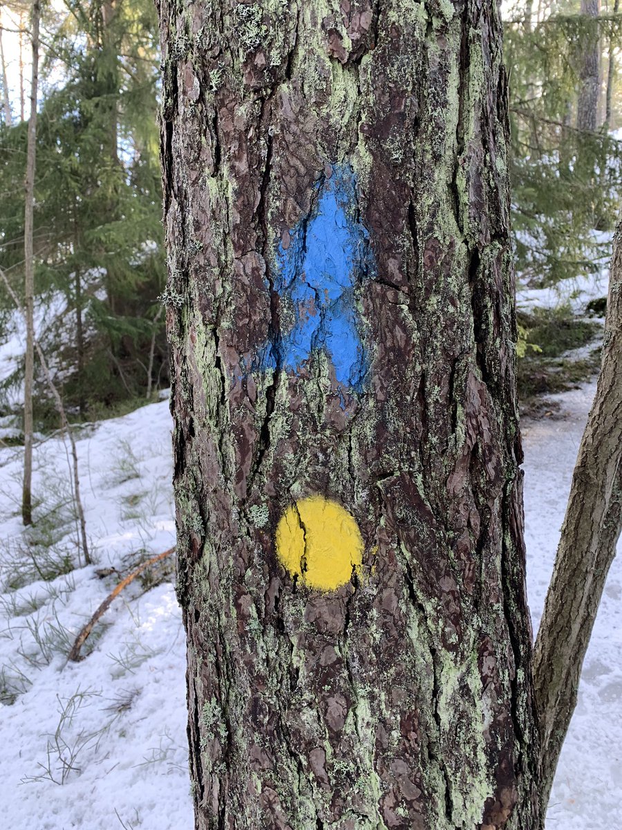 Saa Turun kaupungin ulkoilumerkitkin uuden merkityksen