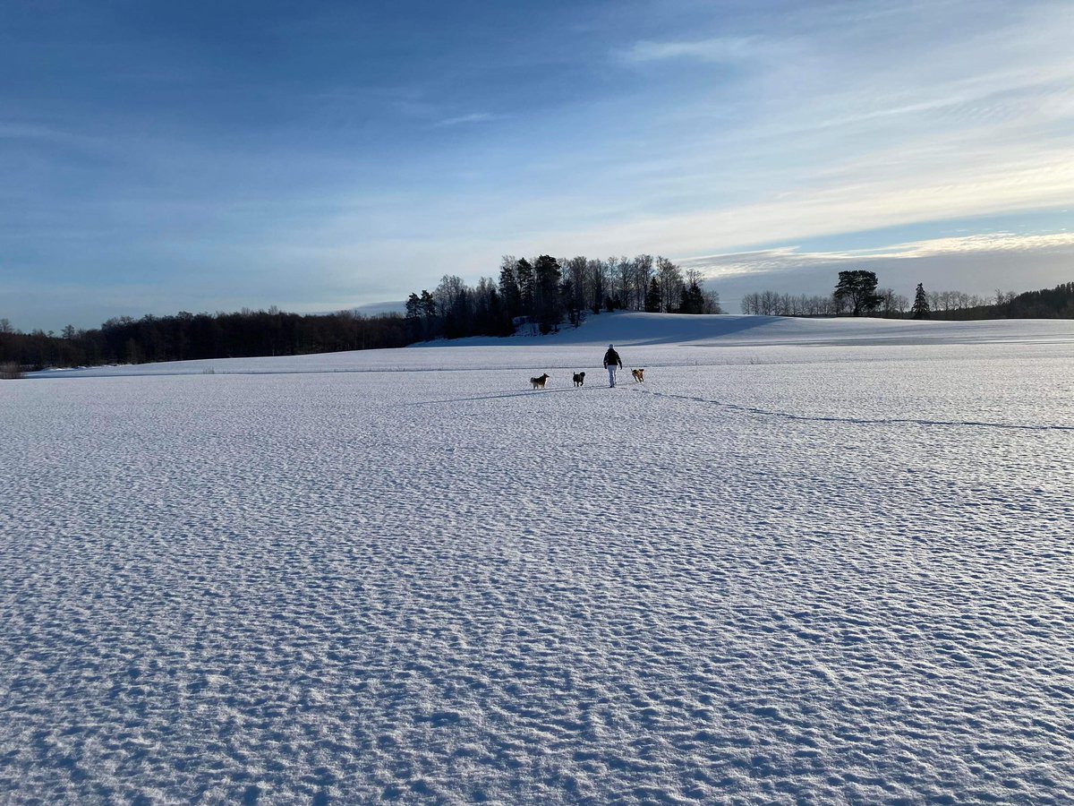 MsBarryHolm's tweet photo. Perfect weather for snowshoeing https://t.co/QnrbnDh9or