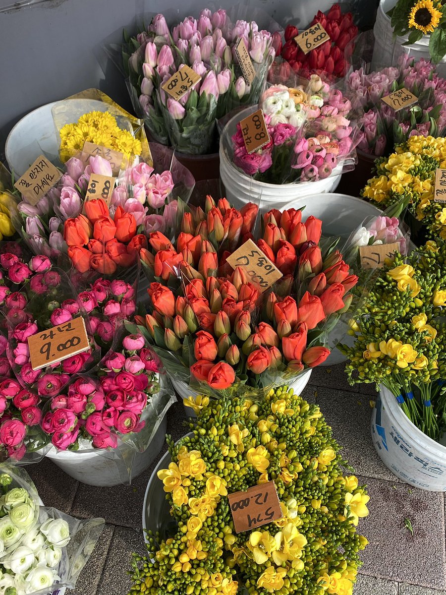 my_xanadu_'s tweet photo. 맘이 소란해두 최소한의 낭만은 챙기면서어 https://t.co/dcAbj6hn99