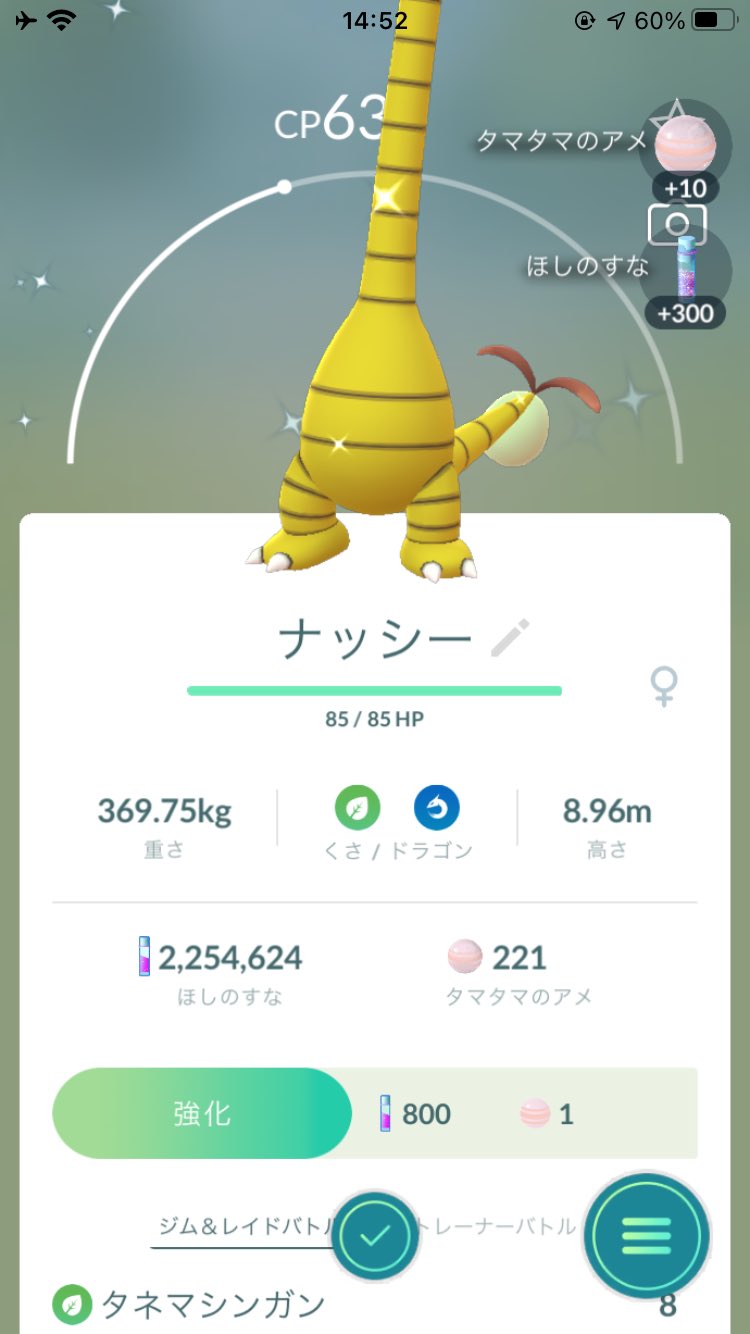تويتر ぴよマール 0ac على تويتر 実家で色違いアローラナッシー出た８ ポケモンｇｏ アローラナッシー ナッシー 色違い げつようび T Co Vwskvxkvtd
