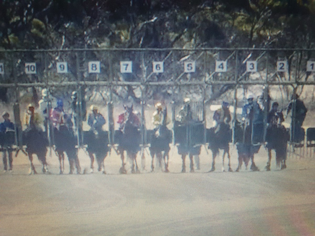 TomRush55716426's tweet image. deja vu....

'Nessie' claimed more victims on Sunday 🦕

The old barrier 3 trap claimed a couple with Barrier 5 also refusing to let a victim from her clasp in the last 👇. 

#Locknessmonster