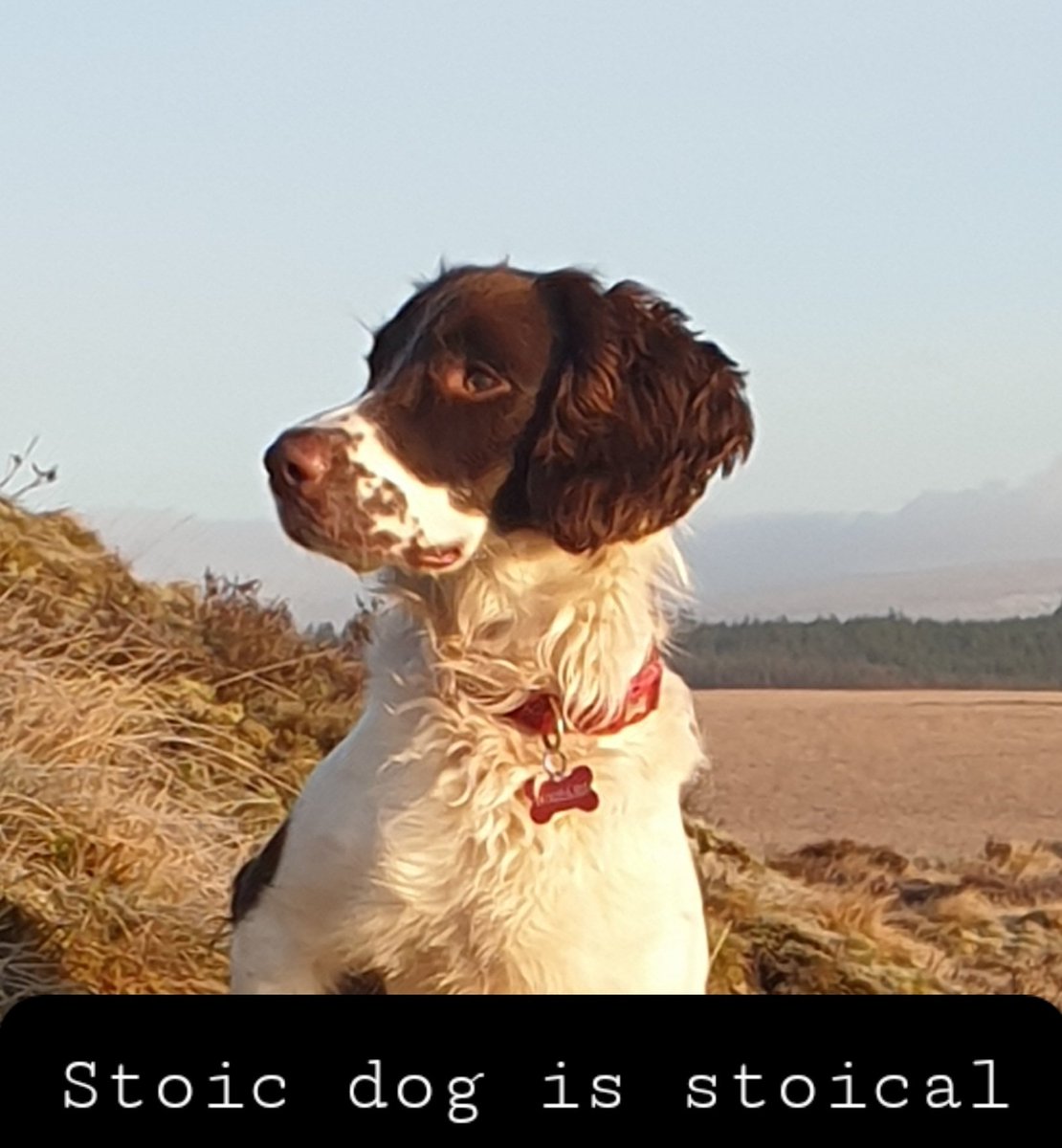 When times get tough and there is confusion, calumny and division all around...