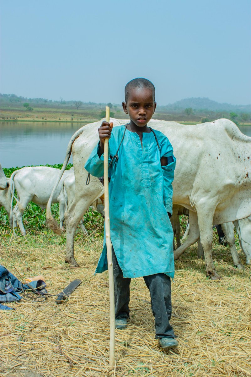 offre_joachim's tweet photo. How best to explain the bible verse that says...Lord is my shepherd ( to feed,shield,gard and gard me) so there is nothing I  can ever want.

#thatpoetographer #photography #storytelling #fulani  #grading #lifestyle #culture #wayoflife 
#story https://t.co/j1TrHjYCia