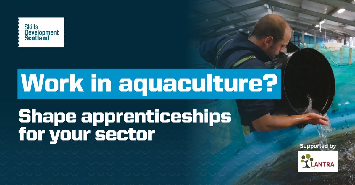 apprentice_scot's tweet photo. Have your say before the consultation closes! If you work in the aquaculture industry and want to take part in shaping #apprenticeships for your sector, there's still time to complete the survey: https://t.co/D38ClWKa5V
#ScottishApprenticeships #ApprenticeshipDevelopment https://t.co/St9LZbEa7v