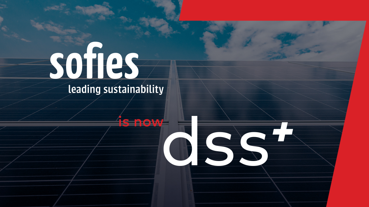 Sofies now dss+ tweet media