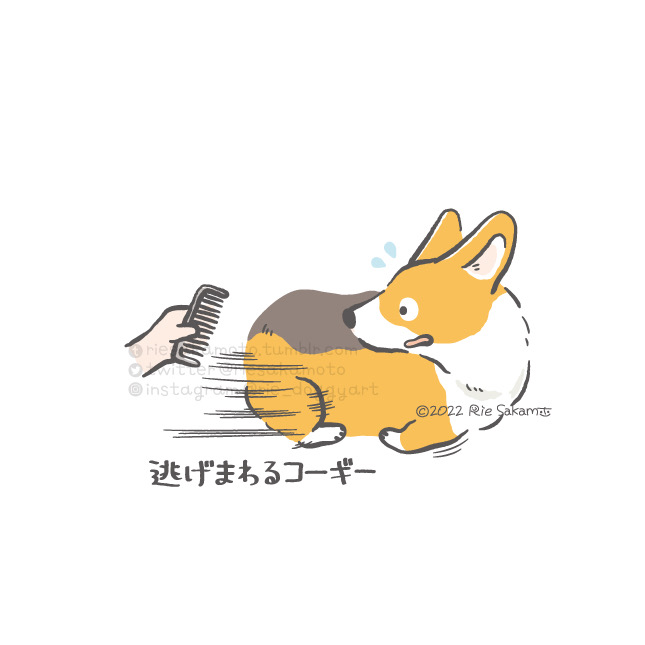 「犬 ふわふわ」のTwitter画像/イラスト(新着)｜21ページ目