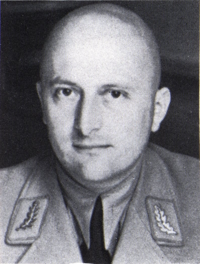 政敵への誹謗中傷などを理由に、何度か有罪判決を受けている。
1932年、上司のアドルフ・ヴァーグナーはニッポルトの罰金を党費で賄うことを拒否。
その結果、同年秋にニッポルトは南チロルに逃亡している(クリスマスに恩赦が出され年内に帰国)。