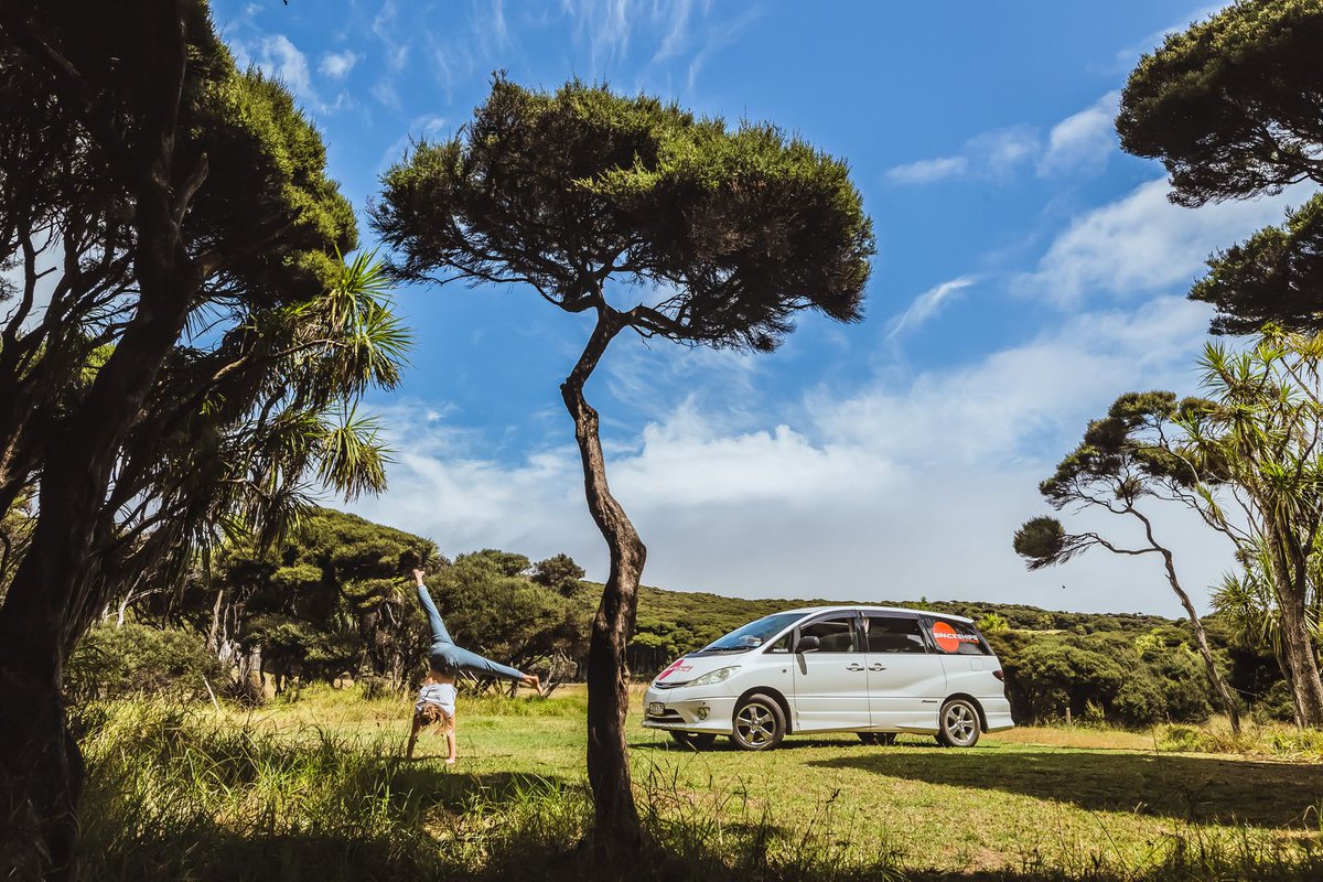 Spaceships Rentals AU & NZ tweet media