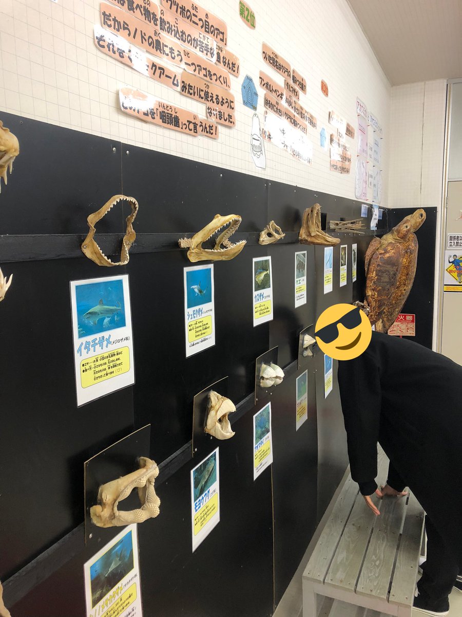 水族館でフリーキスに参加させて頂きました。