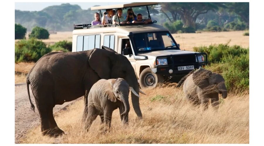 Do want to list your property (hotel, motel, lodge, resort, apartment) on our platform. Do not hesitate to contact us at info@eacreservations.com or call us at +250 789 428 524
#Rwanda #SSOT #Tanzania #Kenya #Uganda #Ethiopia #Burundi #hotel #lodge #travelagency #tourisme