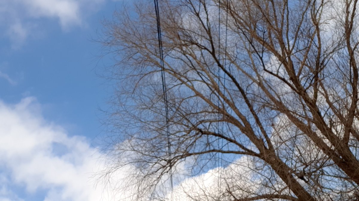 LightyFN's tweet image. Finally outside