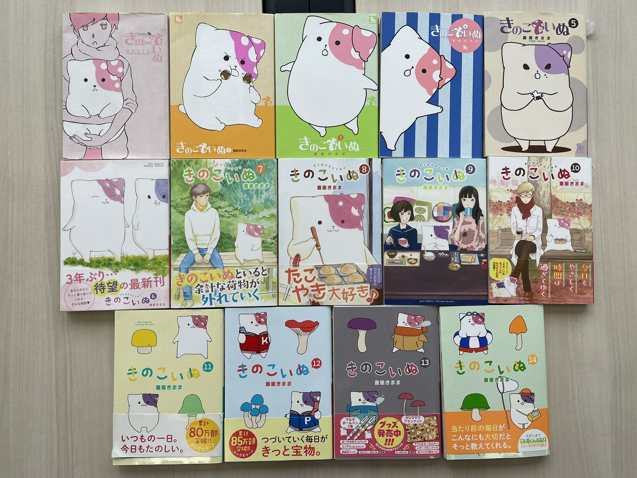 きのこいぬ公式 コミックス15巻5月13日 金 発売予定 Kinoko Official Twitter