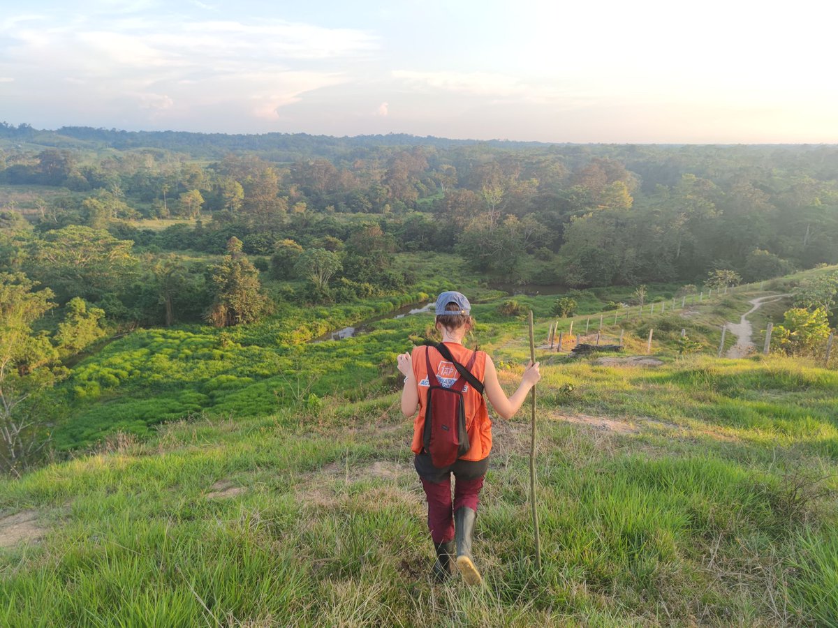 IAP ActionPeace tweet media