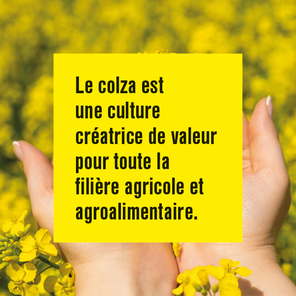 Oleo100_FR's tweet photo. Pour l’#innovation, le #colza n’attend pas ! 🟡
➡️ Culture d'avenir, créatrice de valeur pour la filière #agri & #agro🚜
➡️ Contribue à l'innovation pour les énergies et la chimie du renouvelable🔋
➡️ De nouvelles valorisations en alimentation humaine 👌
#FranceColza #SIA2022 https://t.co/tL38ILYr6s