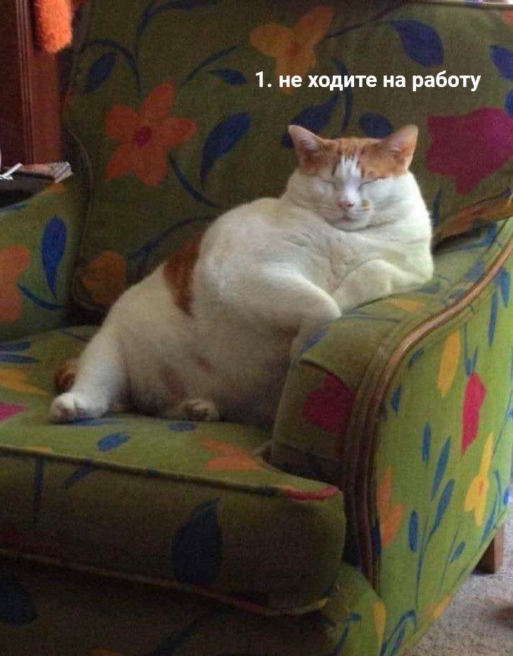 Мне понравилась мысль) На время)