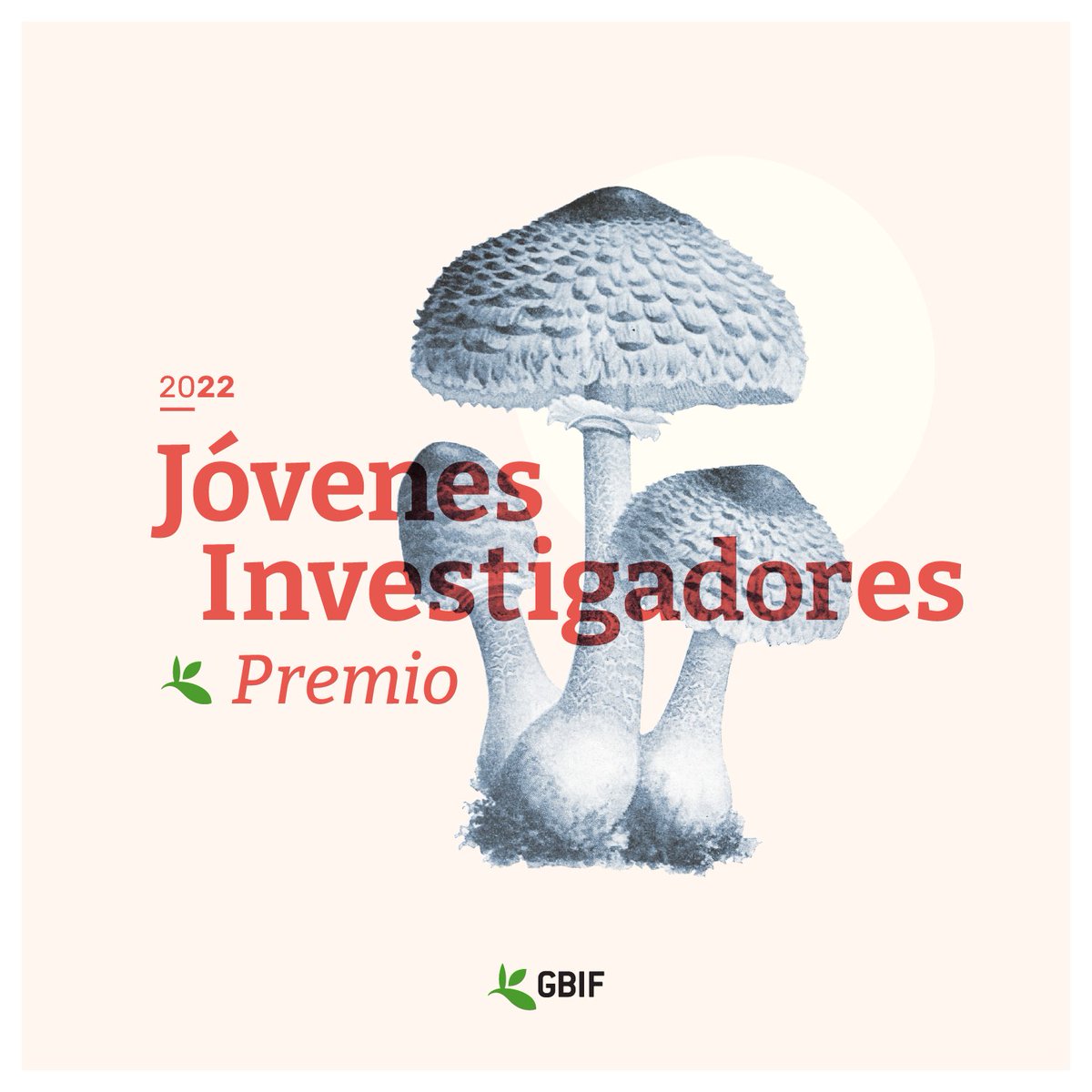 GBIF's tweet photo. DEADLINE(s) REMINDER: Graduate-level researchers in or from Colombia 🇨🇴 !
Just three months left to prepare your nomination packets for the #YoungResearchers Award before @sibcolombia’s 30 May national deadline:
https://t.co/L3CsdiznuR
Full details: https://t.co/MqEtKbnJoE https://t.co/IcdUxopeV1