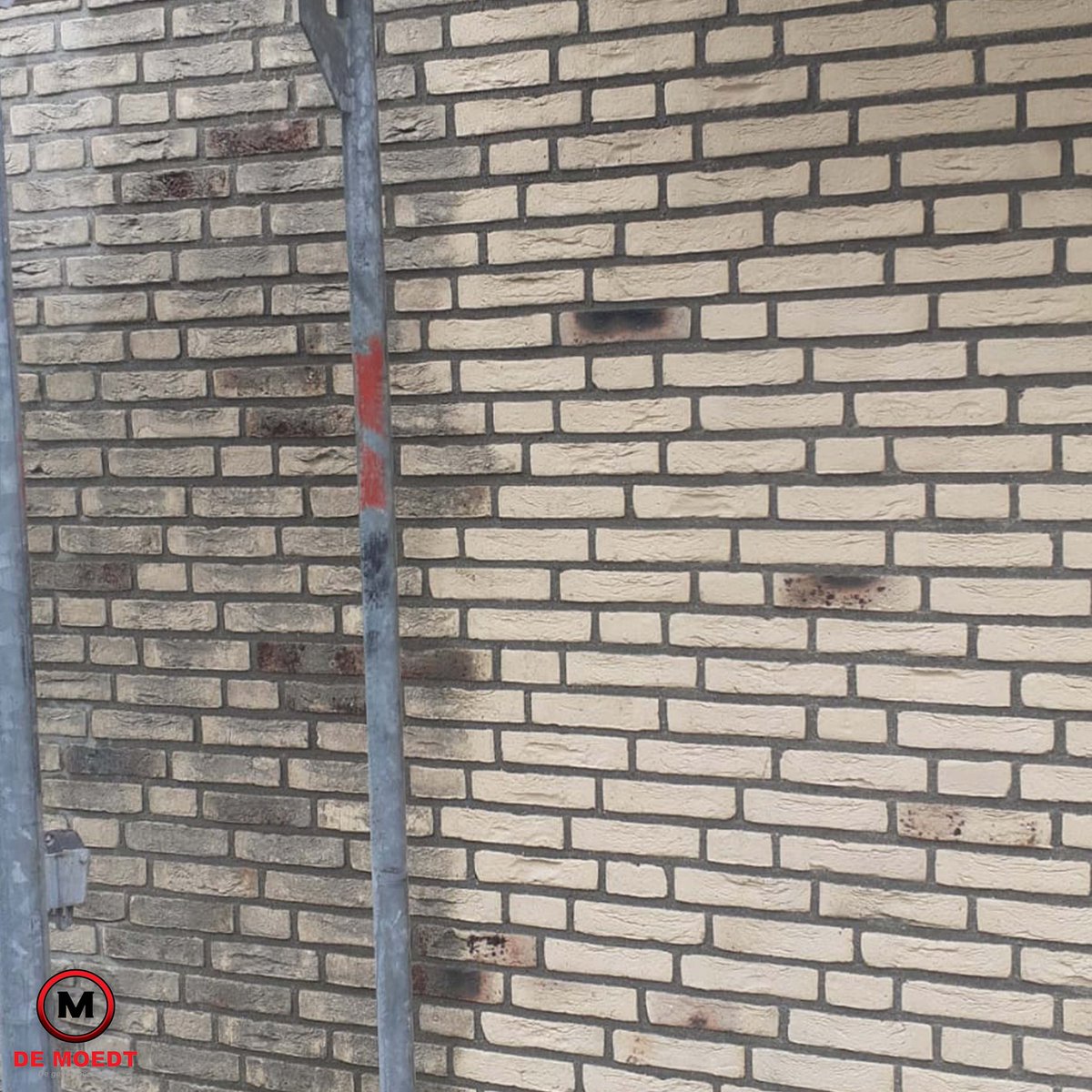 DeMoedtGevels's tweet photo. Het verschil tussen de gereinigde en ongereinigde gevel is enorm!
Bent u benieuwd wat we voor uw woning kunnen betekenen?
Neem een kijkje op https://t.co/bjKMDQ5n8b

#demoedtgevelspecialist #demoedt #gevelspecialist #gevelreiniging #gevelrestauratie #voegwerken https://t.co/1fYaRdl3AT