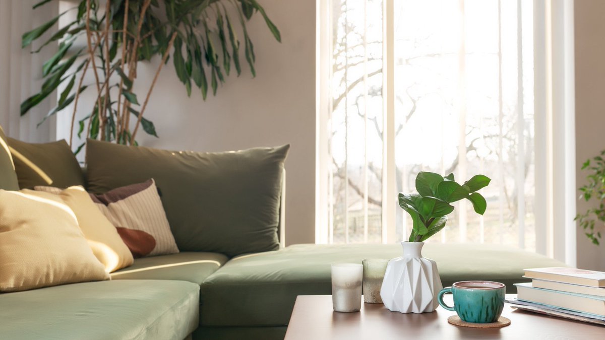 NCCA - National Carpet Cleaners Association tweet media