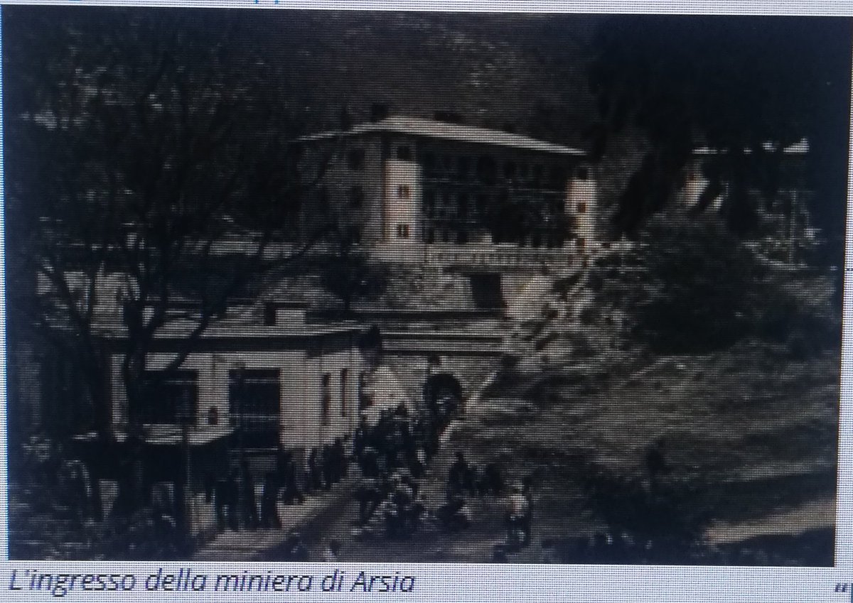 angela_brandi's tweet image. 28 febbraio 1940. Un pensiero per i 186 minatori che persero la vita nella miniera di #Arsia non dimentichiamoli