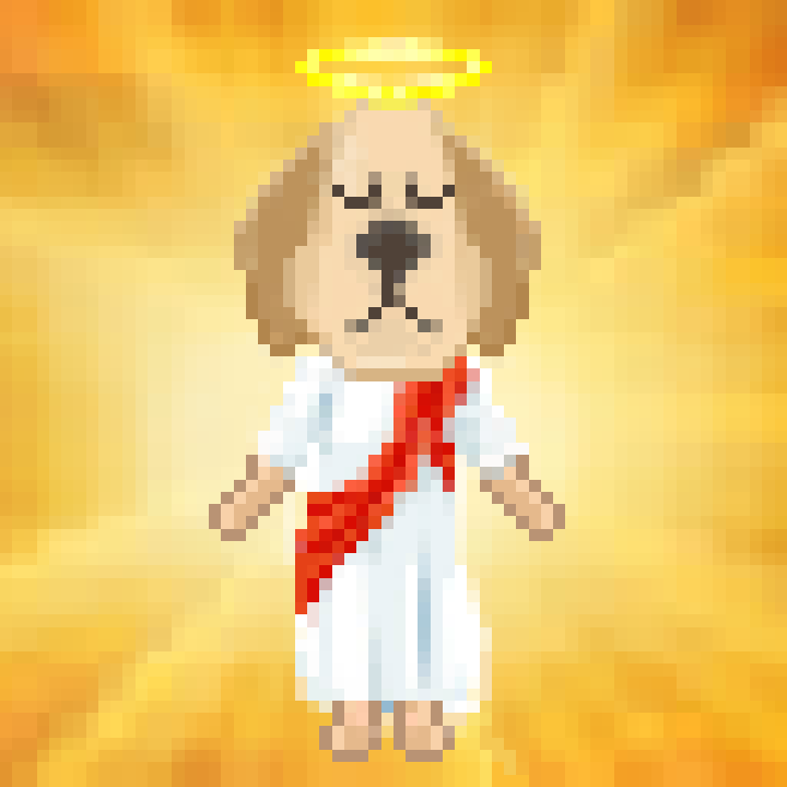DogIsGodnft's tweet photo. @killerqueen_nft First NFT project brought to you by professional vet team ! We provides medical advices and tips to our member ! Our roadmap also includes donating to dog shelters.
Bring a DOGGOD home to promise you will love and respect dogs unconditionally https://t.co/29Ir3WSlGM