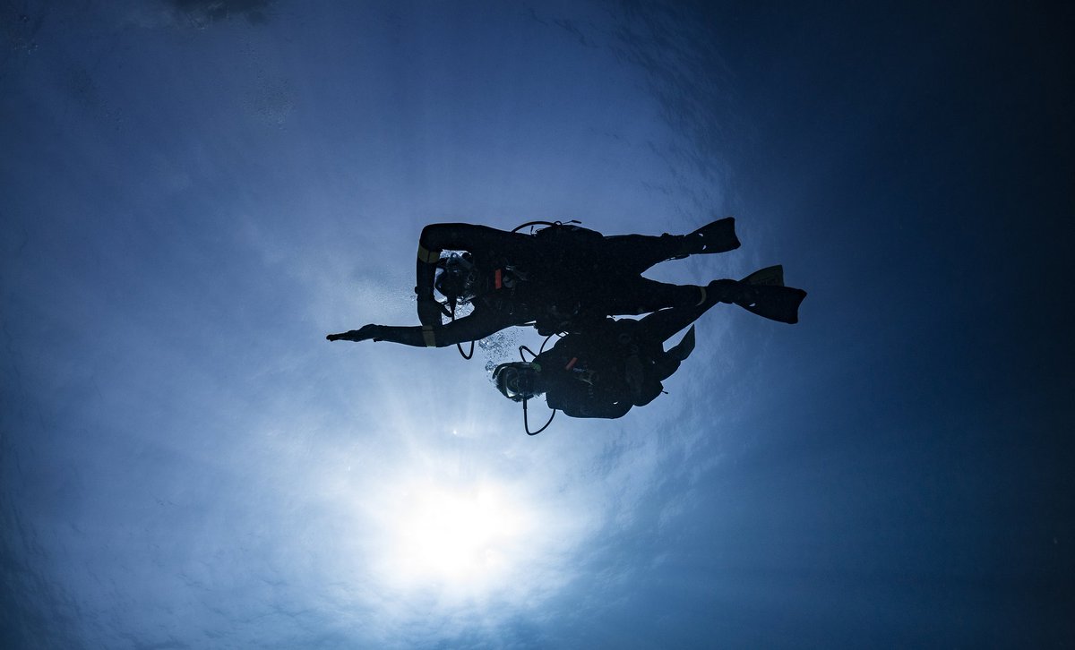 BlackFrogDivers's tweet image. The holiday are starting today!! Have you packed your scuba diving gears??
Come to us during your time in Malaga and enrol for a PADI Course.All the courses can be done in Spanish,English,Polish,Italian and French.#winterholiday #startscubadiving #padicourse #bestdivecentermalaga