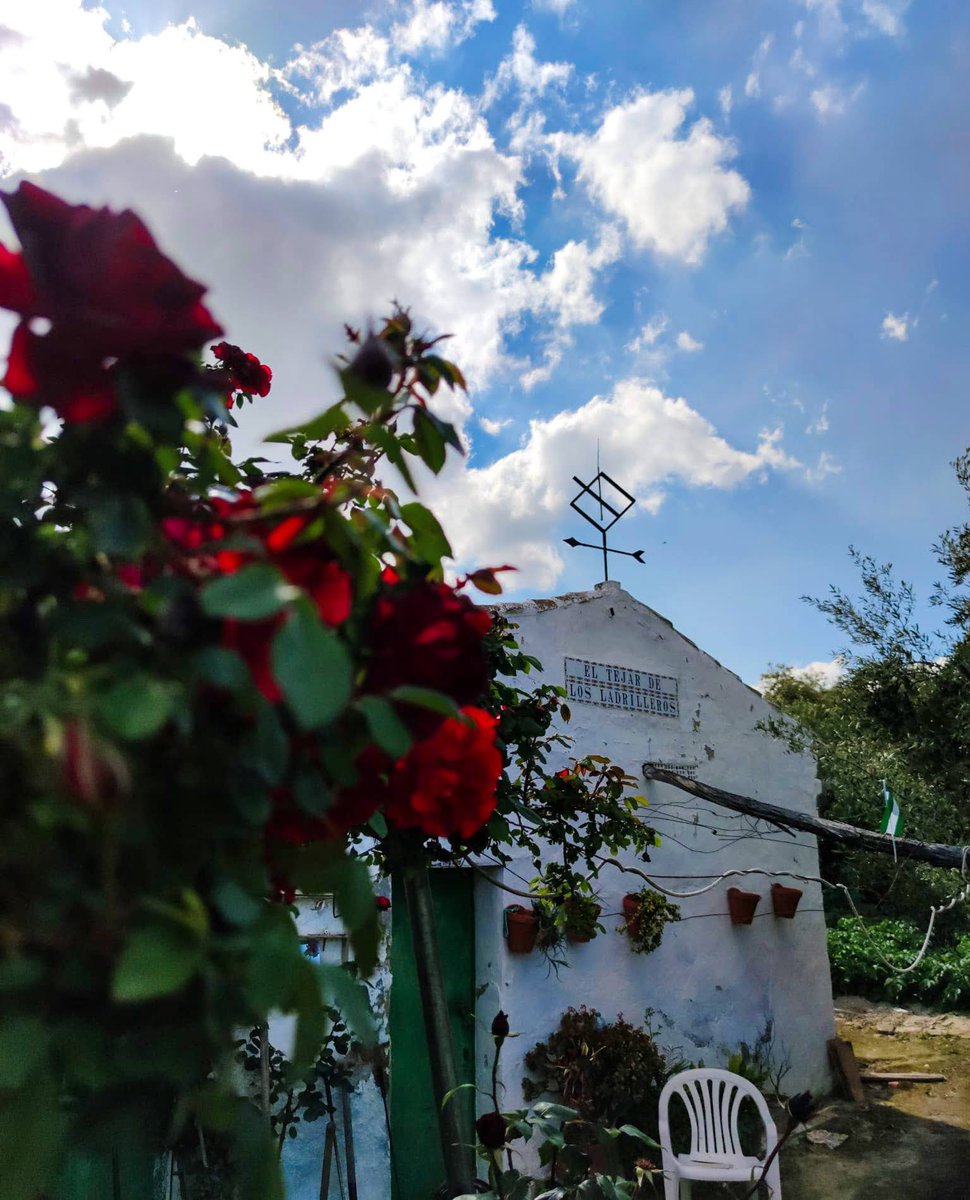 “Nadie te va a querer como Andalucía te quiere”
y cuánta razón!!!! Feliz día de mi tierra, lejos pero siempre cerca 💚🤍💚